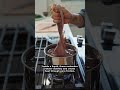 Why Ice Is Secretly Microwave Proof 🧊🛡️