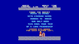 Final Level Explained !!! Super Mario Bros.2 : The Lost Levels 8-4 Bowser's Castle.