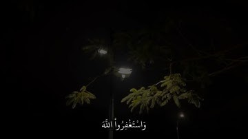 واستغفروا الله إن الله غفور رحيم | تلاوات خاشعة ♡
