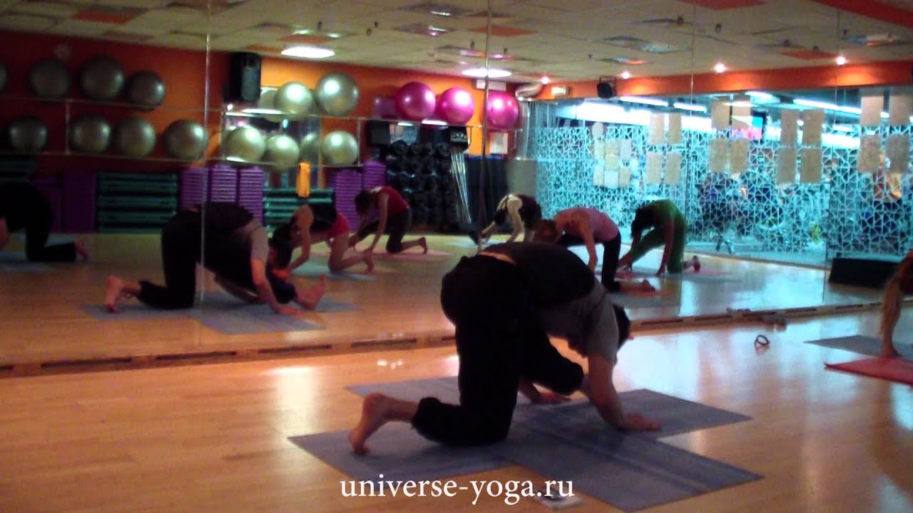 Универсальная Йога. Тренировка 1 Мандала