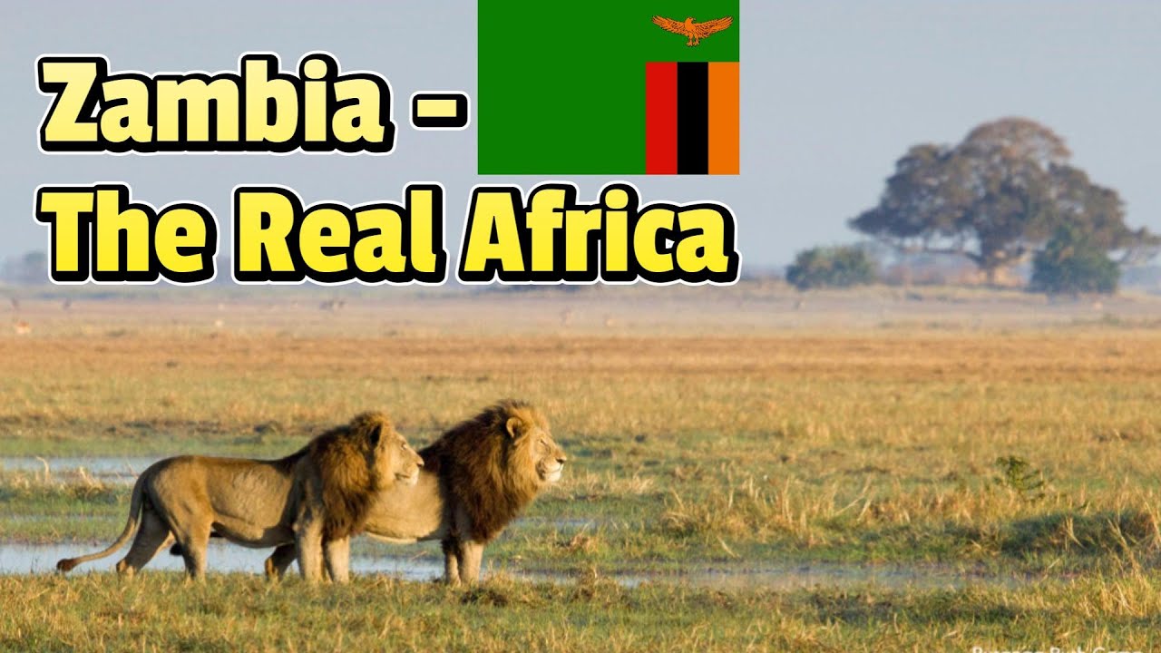 Zambia -The Real Africa | Victoria Falls & Wildlife