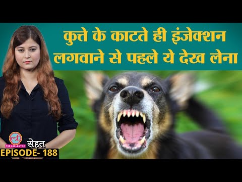 वीडियो: पालतू सड़क यात्राओं के लिए 10 स्क्केकी क्लीन कार टिप्स