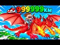 QUANDO SUA MONTARIA É A MAIS ÁGIL DE TODAS NO ROBLOX