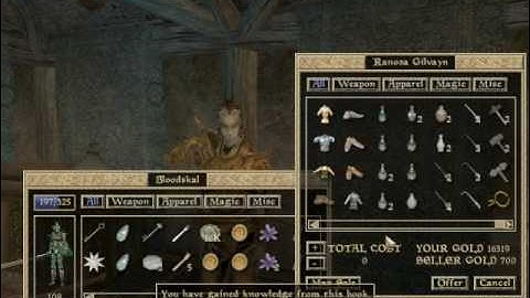 Lets Interactively Play Morrowind Part 167: Forking Around (part 2 of 4)