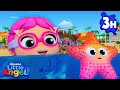 Underwater Twinkle Twinkle 🌊⭐ | Kids Cartoons and Nursery Rhymes