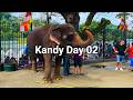 Kandy Perahera Day 2: Elephants, Double-Decker buses &amp; Chaos!