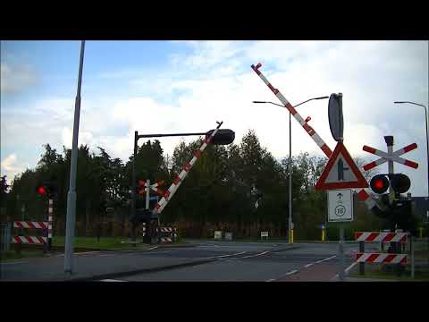 Spoorwegovergang Boxmeer // Dutch railroad crossing