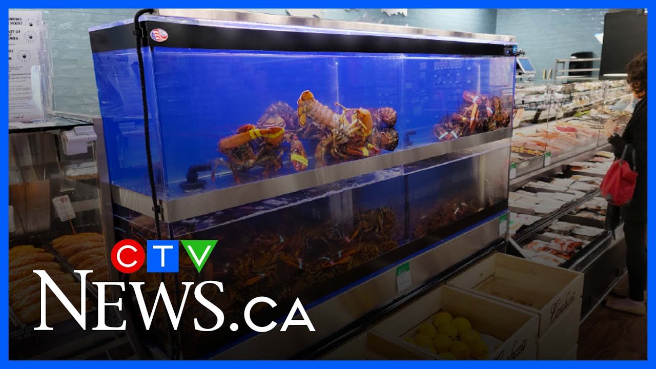 Removal of Chinese tariffs on Canadian lobster and crab will have an immediate economic impact