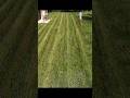 Super Fast 3D Lawn Stripes