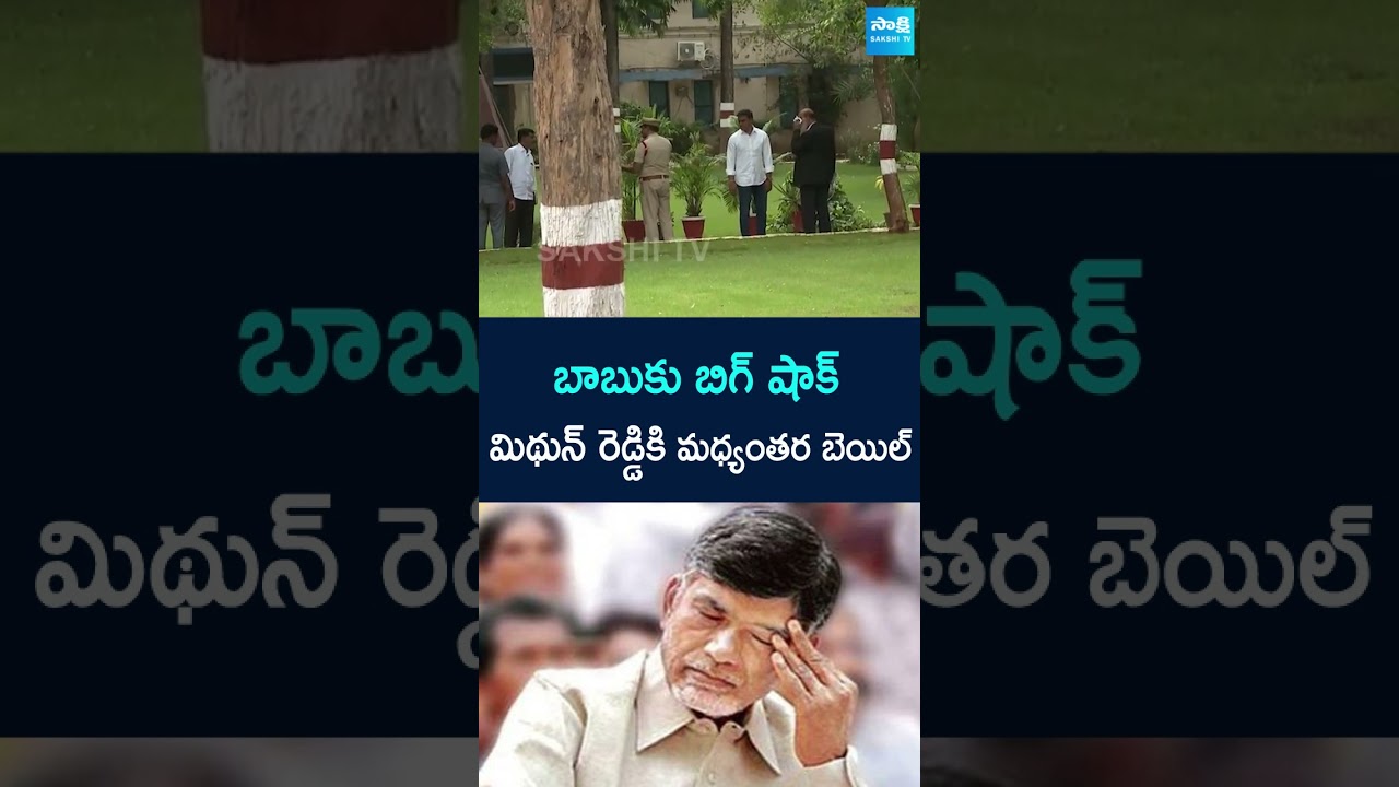 ACB Court Granted Interim Bail to MP Mithun Reddy | 