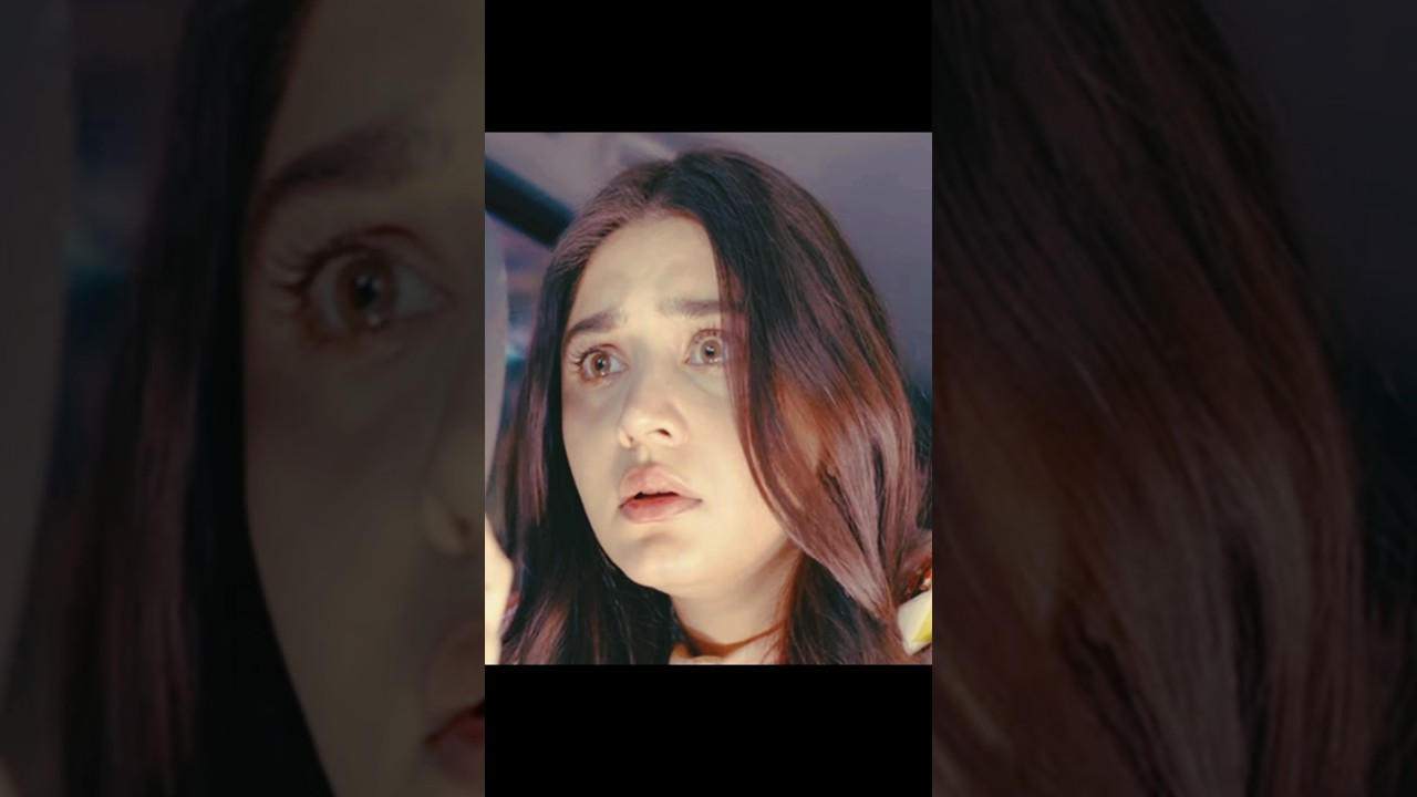 Shibra Par Hamla Hua Hai | 