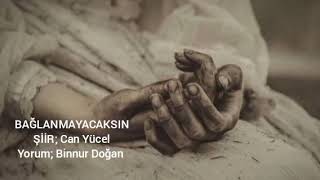 Bağlanmayacaksin Şiir Can Yücel Yorum Binnur Doğan