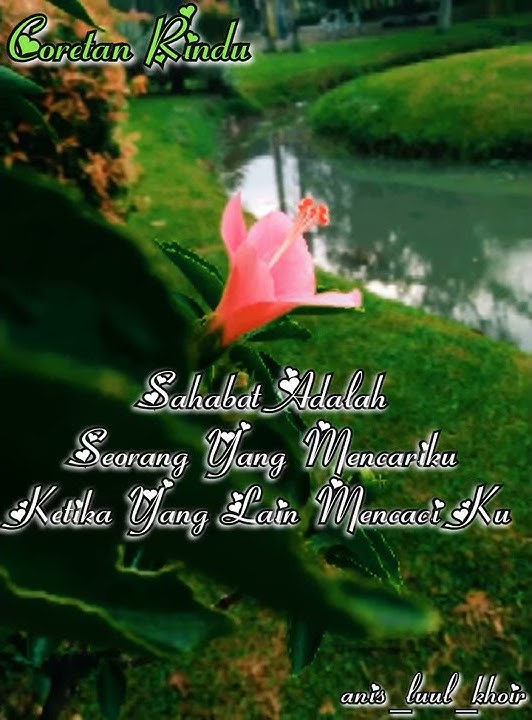 Story wa baper tentang sahabat versi muslim
