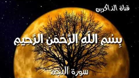 اجمل تلاوه خاشعه تاخذك الى عالم اخر للقارئ اسلام صبحي