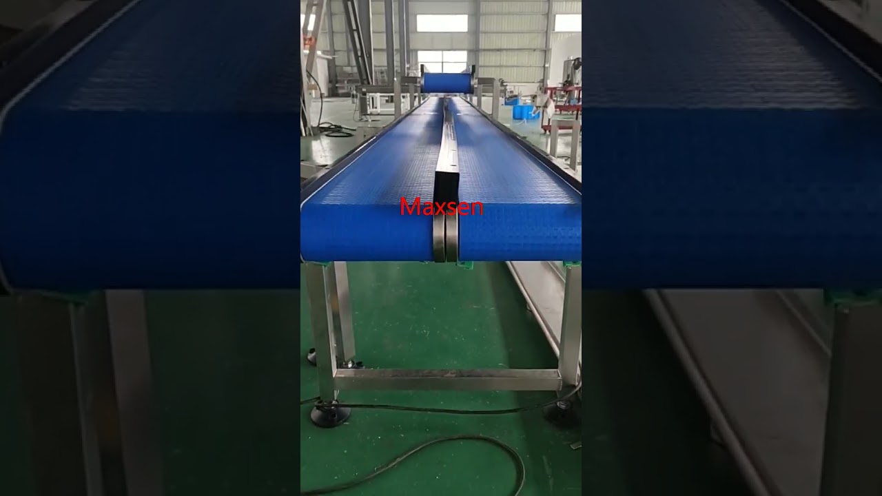 Maxsen 12.7 pitch flat modular belt conveyor with two layers testing