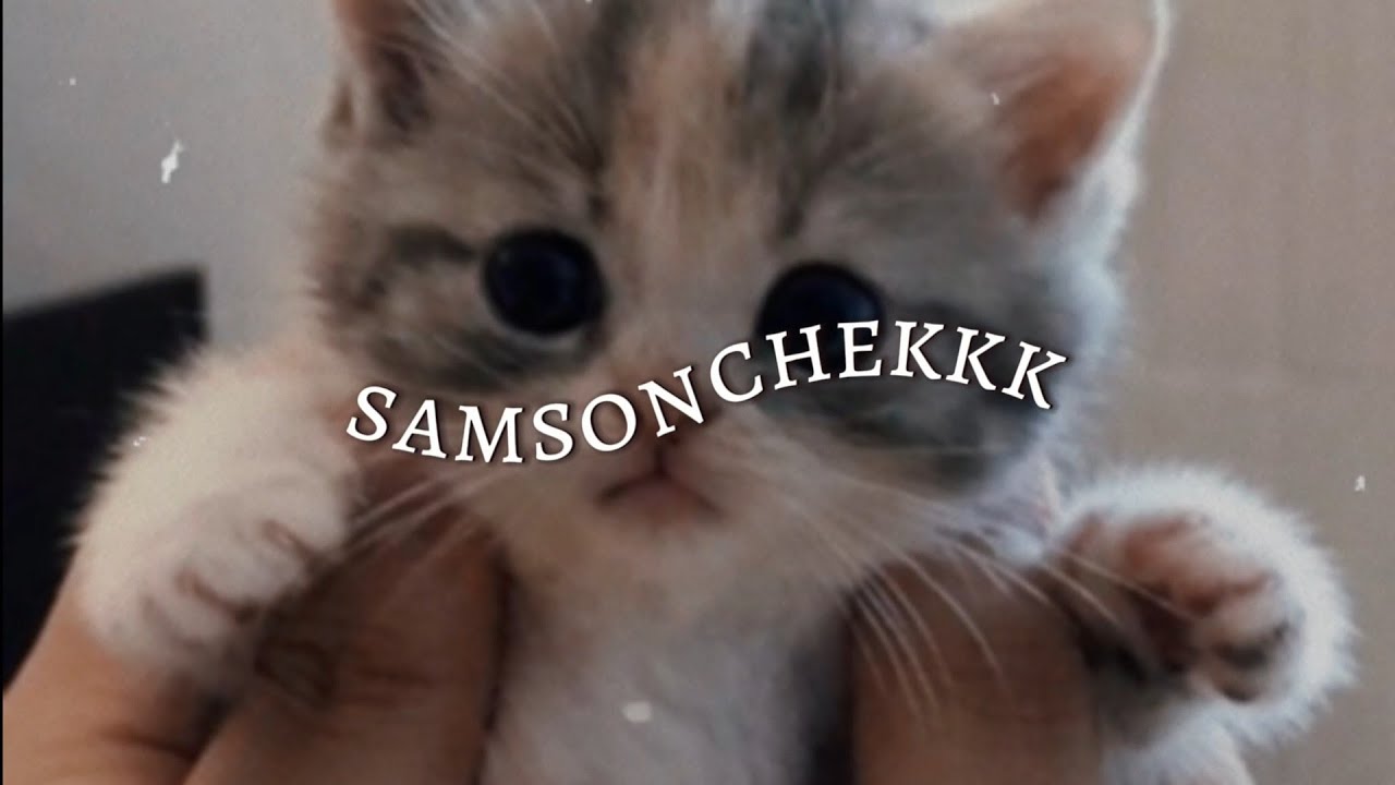 warm and vibe playlist for evenings