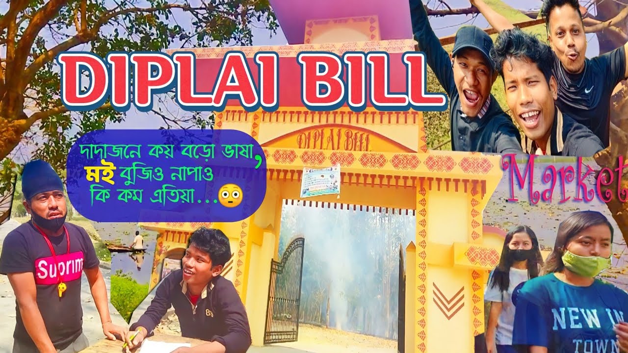 আপুনি দেখিছেনে Diplai Bill? || 