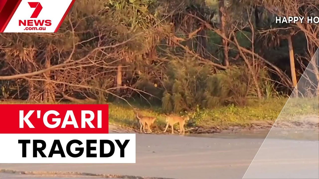 Canadian tourist Piper James found dead on K'gari | 7NEWS