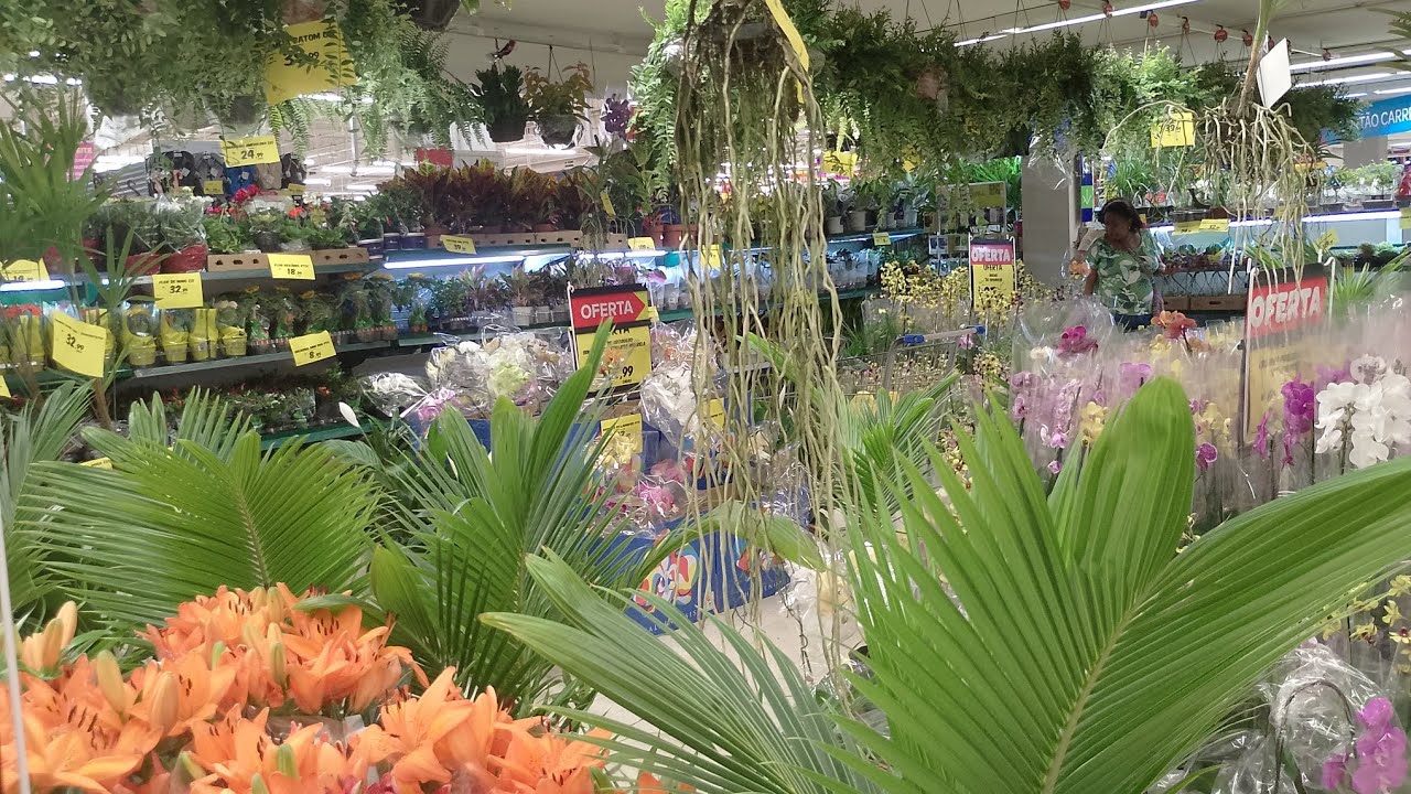 #quinta feira CARREFOUR dia 5 de fevereiro Norte Shopping RJ tem promoção pessoal 