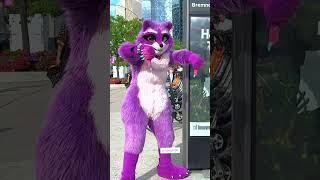 raccoon says NO to city propaganda!! #furry #fursuiter #fursuit #costume #conventions #fursona