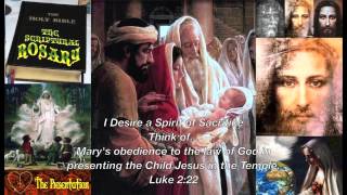A Scriptural Rosary ~ Joyful Mysteries