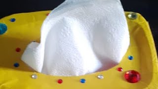 Diy tissue box with tissue folding#tissuebox #fold#craft #diy #recycle