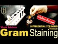 GRAM STAINING | Bacterial Staining Technique | Microbiology | Vivek Srinivas | #Bacteriology