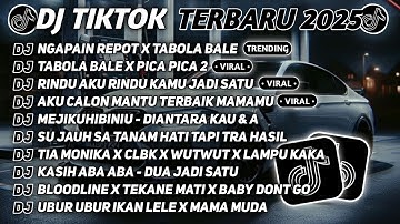 DJ TIKTOK TERBARU 2025 🎵 DJ NGAPAIN REPOT X TABOLA BALE 🎵 DJ TABOLA BALE X PICA PICA 2 FULL ALBUM