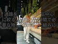 あのドンキが“圧縮陳列やめた”！？10分で出る新業態の正体