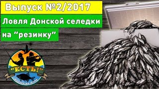 Рыбалка 2017 Ловля селедки на Дону