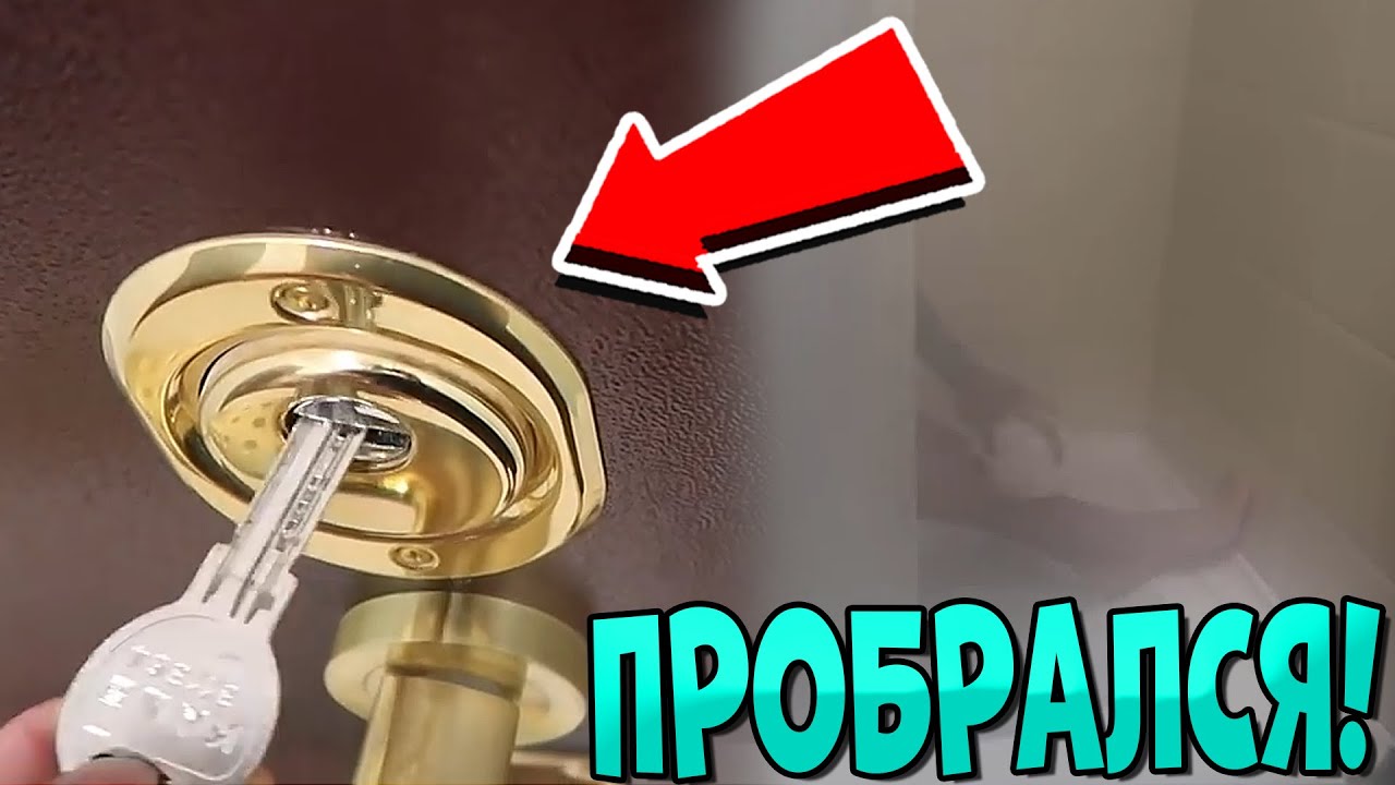Когда родился эдисон птс