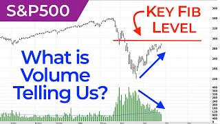 S&P500 VIX Elliott Wave U.S. Market Update
