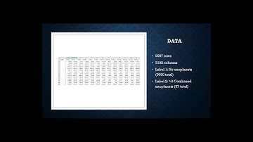 Ayanle Hashi CS 484 Final Project