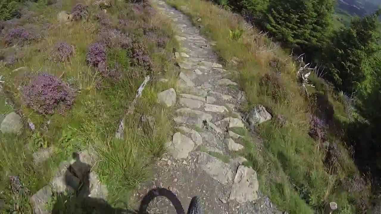Whinlatter downhill Altura south loop fast run- Lee Kermode