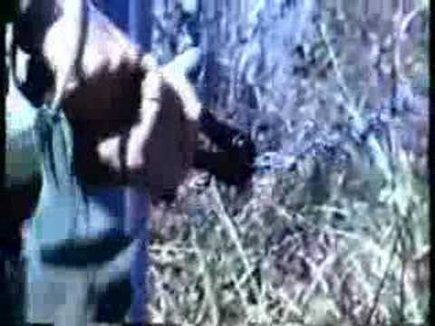 -JSDF-　自衛隊PV 修正版