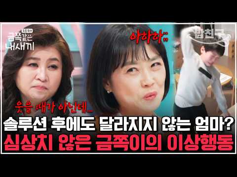 [#밥친구] &amp;quot;<strong>부모자식</strong> 인연 끊어&amp;quot; 파국으로 치닫는 절약 엄마와 금쪽이의 갈등, 급기야 오은영 쌤은 방송을 중단하는데... | 금쪽같은내새끼 187회