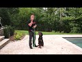 Teach Your Dog to COME to you EVERYTIME! Perfect Recall Training