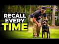 Teach Your Dog to COME to you EVERYTIME! Perfect Recall Training