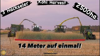 14 Meter Auf Einmal! Großeinsatz 2500Ha Gps Mit Köhl Harvest Ganzpflanzensilage - 3 Häcksler 2023