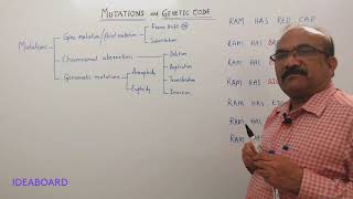 DAY 61: MUTATIONS AND GENETIC CODE