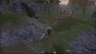 ESO - Great locations for collecting flowers