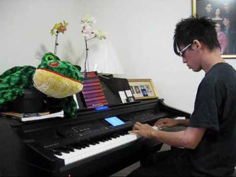 Chrono Cross - Reminiscing ~ unerasable memory (cover)