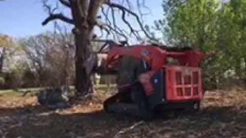 Kubota SVL95-2s Knocks Down Big Oak