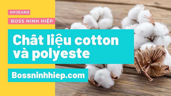 Chất liệu vải cotton poly là gì