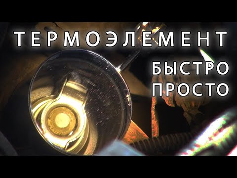 Веста. Термостат. Замена термоэлемента. Простой способ.