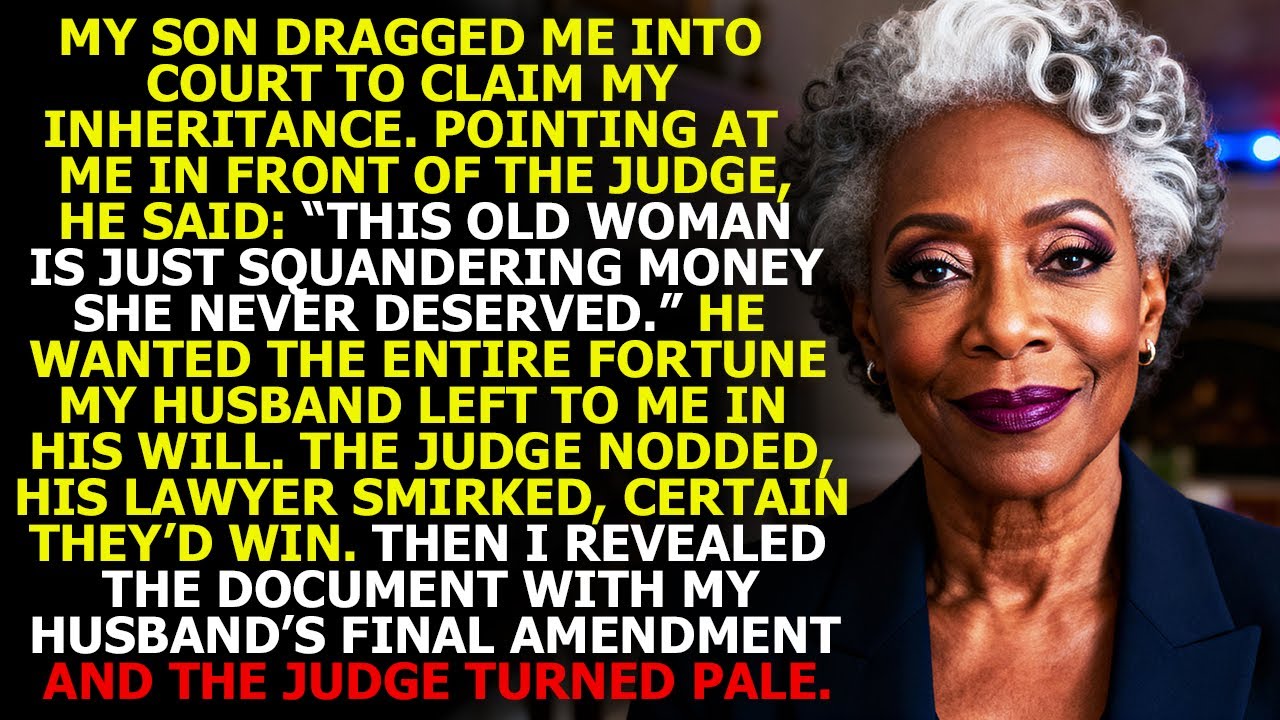 My Son Took Me to Court to Claim Inheritance – What I Revealed Left the Judge Pale...