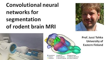 Convolutional #neuralnetwork for segmentation of rodent #brain MRI. Neuroimaging in pre-clinical