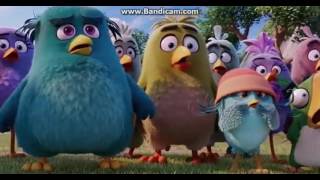 The Angry Birds Movie - Arrive at Piggy Island