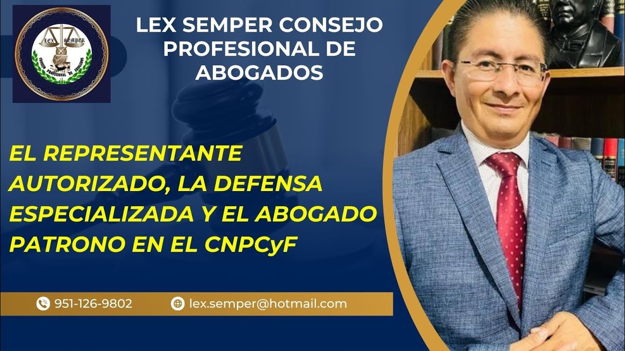 Las figuras del Representante Autorizado, Defensa Especializada y Abogado Patrono en el CNPCyF