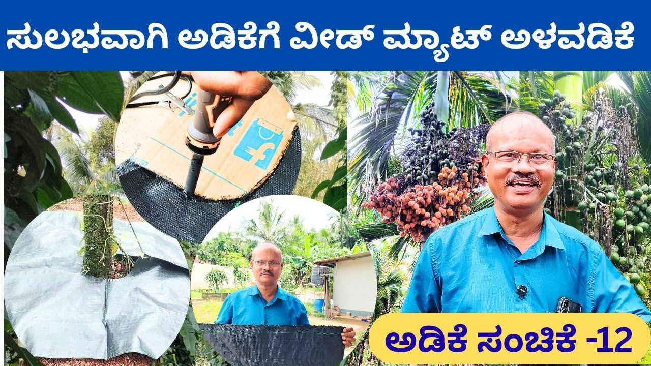 ವೀಡ್ ಮ್ಯಾಟ್ ಅಳವಡಿಕೆಯಿಂದ ವರ್ಷಕ್ಕೆ 15,000 ಕೂಲಿ ಉಳಿತಾಯವಾಗುತ್ತದೆ‼️ ವಲೇರಿಯನ್ ಬೆಳ್ತಂಗಡಿ 